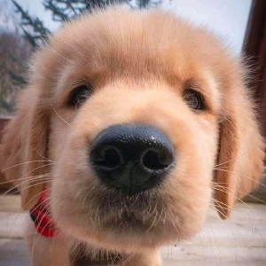 相生的花火的个人空间 哔哩哔哩 Bilibili