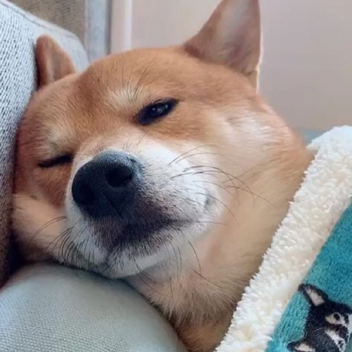 是皇叔叔