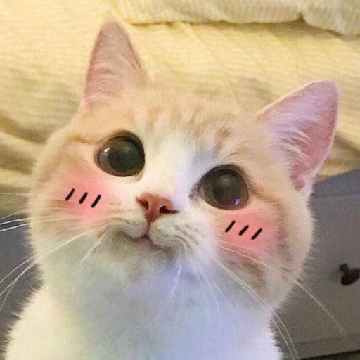 开箱阿鹏