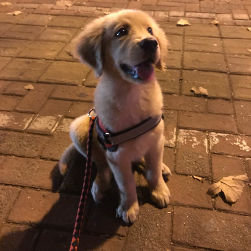 八月的搞机之路