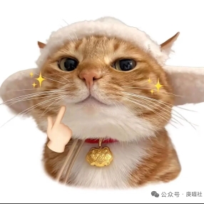 雷子雷5