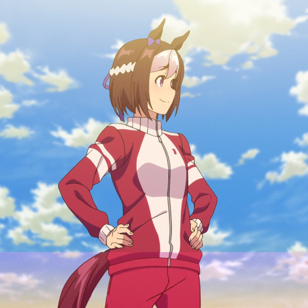 地对空的特别周