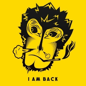 【大圣魔方】魔方复原大法之"七步法",分解操作演示合集