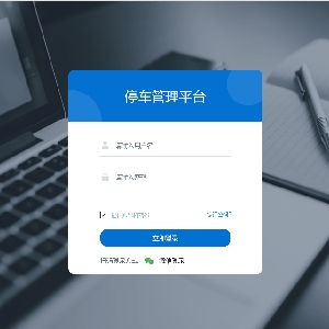 智慧停车系统