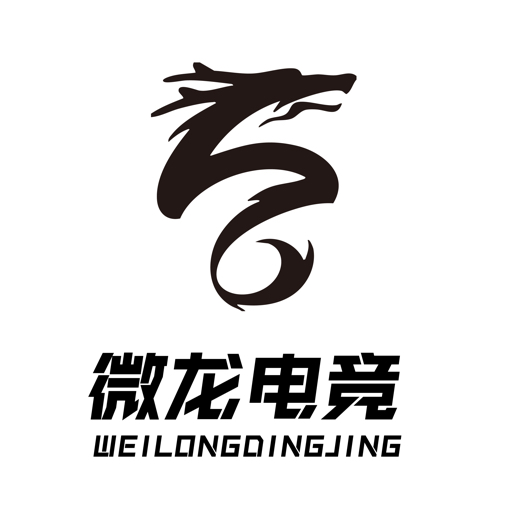 微龙电竞