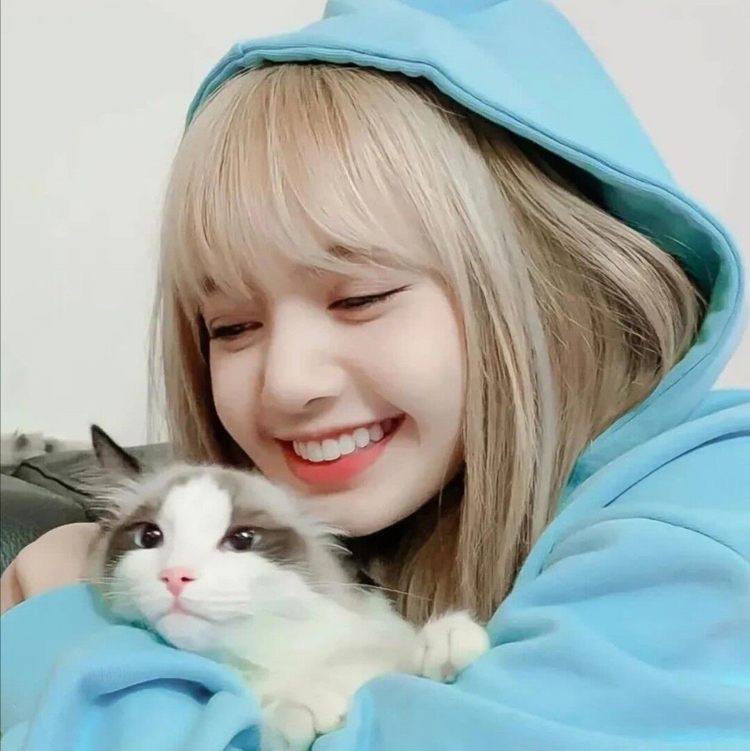 2345版的,可以下个2345助手再从里面