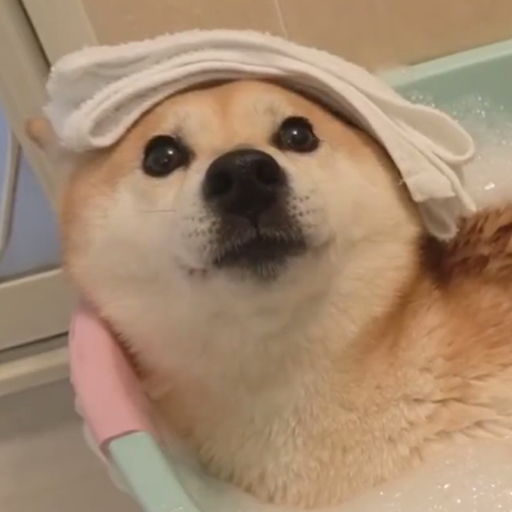 ⚠