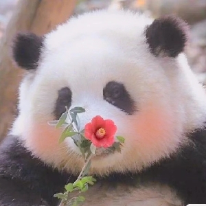 A小白老师