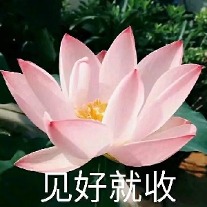 牛哔哩,一个只有评论的网站