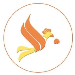 栗子哥的科普日常