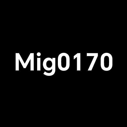 米格mig0170