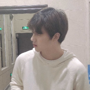 普鲁士贤仔