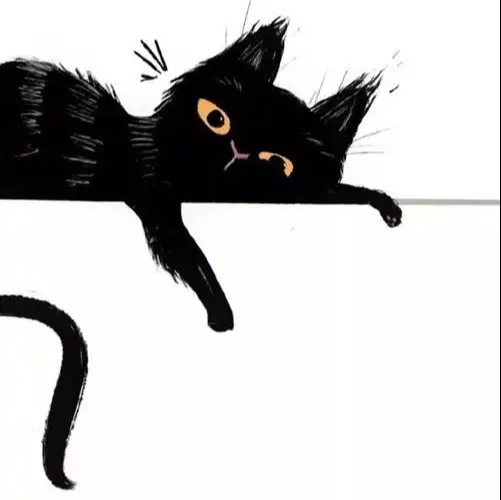 土澳混血黑猫