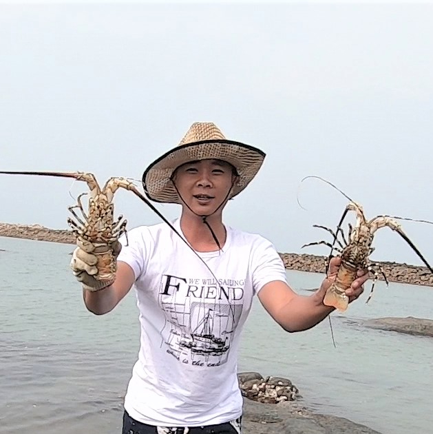 阿波这次花高价钱买装备,在排水道放了近百米地笼,隔天说被"鲨鱼"拖走