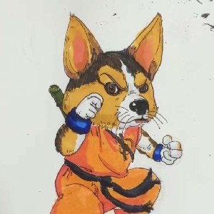 ⚠
