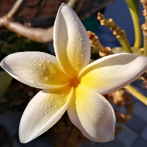 晨读系列 情绪的惊人力量 0 序吸引力法则亚伯拉罕希克斯埃斯特希克斯杰瑞希克斯 游戏社