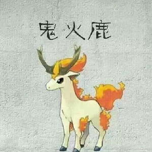 你媳妇儿在此233