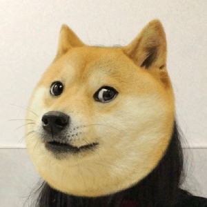 五折青年