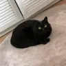 演唱