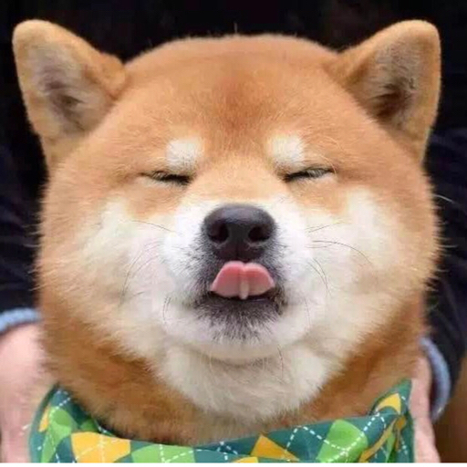 【森竣】 【任佑成】轻飘飘 江劲腾×邵逸辰--