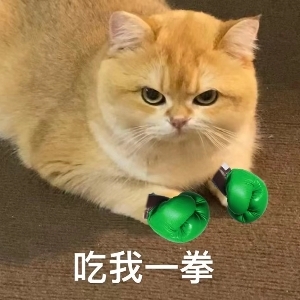 呱呱吔
