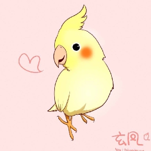 玄凤鹦鹉腮红鸡居然在电风扇上开始了魔力转圈圈