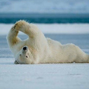 躺尸大户小圆二