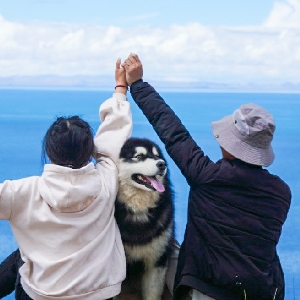 小叉滴滴在路上