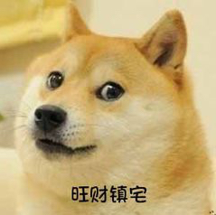 b站一字带仙人狗哥