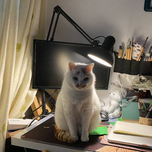 任天堂Switch发售快1周年了!实体卡的金币都拿