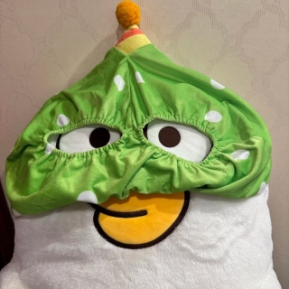 装机鸭鸭