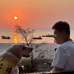 宝哥和他的导盲犬