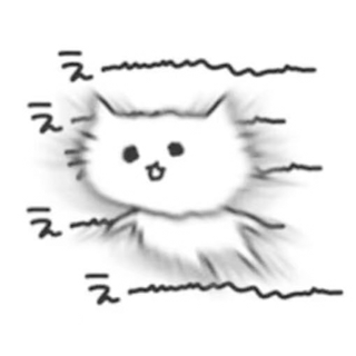 猫点子
