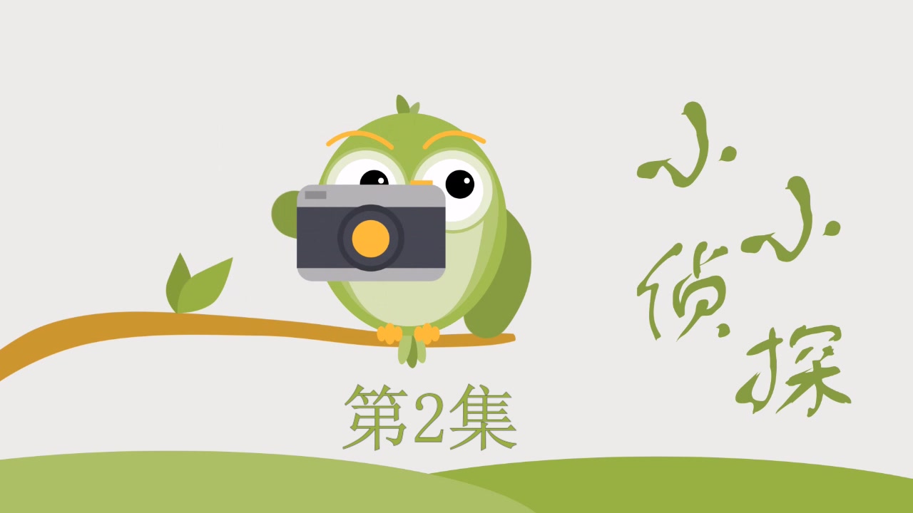 小小侦探第2集:寻找犯罪嫌疑人