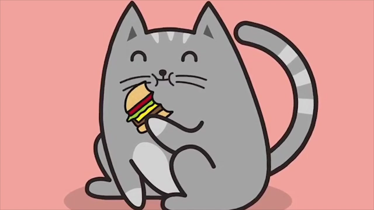 两分钟搞定一个养猫难题来来来你家的胖猫该减肥了